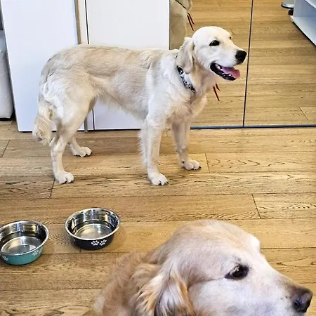 Sunny's House *